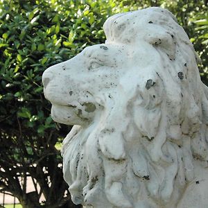 Janssen Park Place Bed & Breakfast